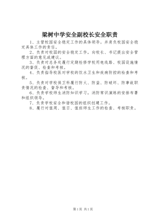 梁树中学安全副校长安全职责要求