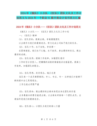 2024年《狼队》小分队-《狂队》团队文化及工作计划范文与2024年一个职业VC眼中商业计划书范文汇编