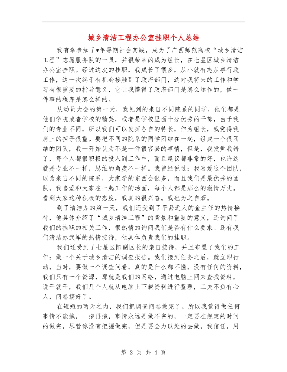 城乡清洁工程办公室挂职个人总结_第2页