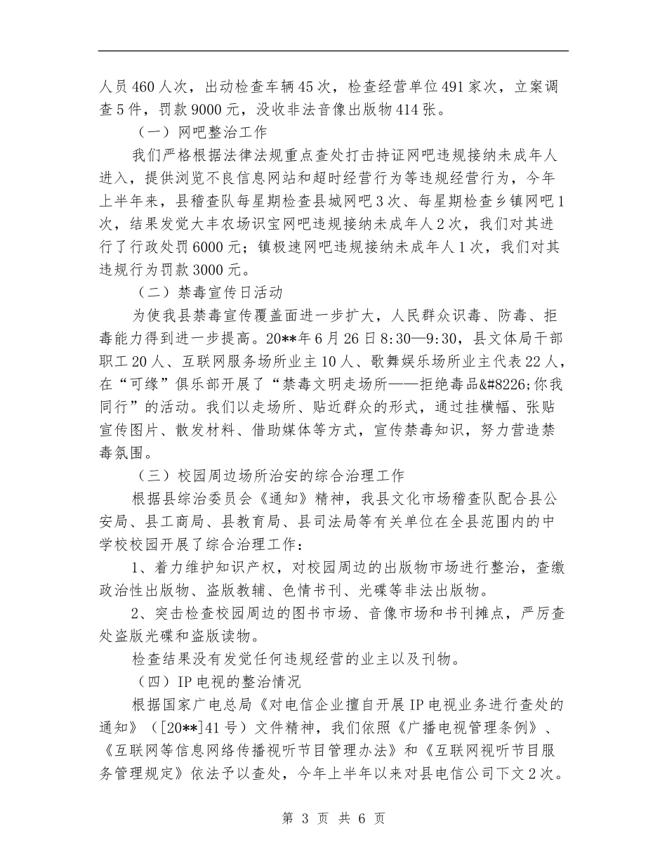 文化市场依法行政工作总结_第3页
