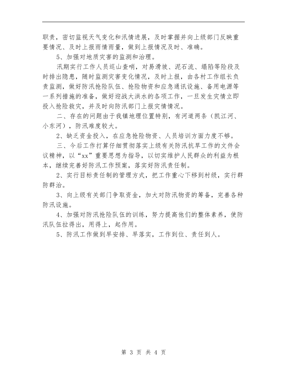 2024年乡镇防汛年度工作总结_第3页