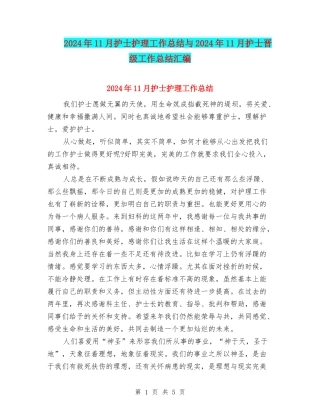 2024年11月护士护理工作总结与2024年11月护士晋级工作总结汇编