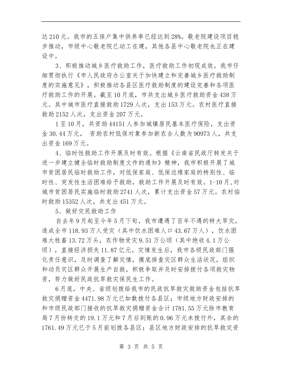 市民政局工作总结范文_第3页