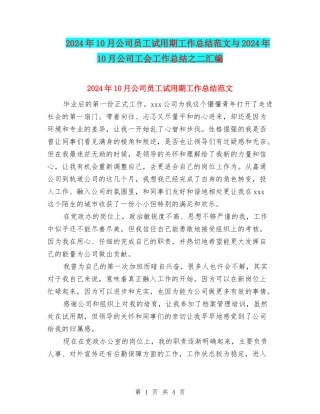 2024年10月公司员工试用期工作总结范文与2024年10月公司工会工作总结之二汇编