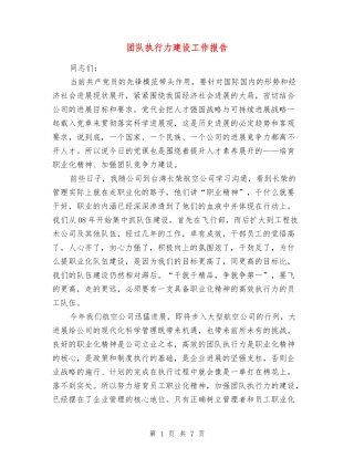 团队执行力建设工作报告