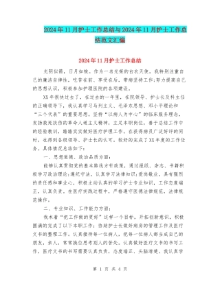 2024年11月护士工作总结与2024年11月护士工作总结范文汇编