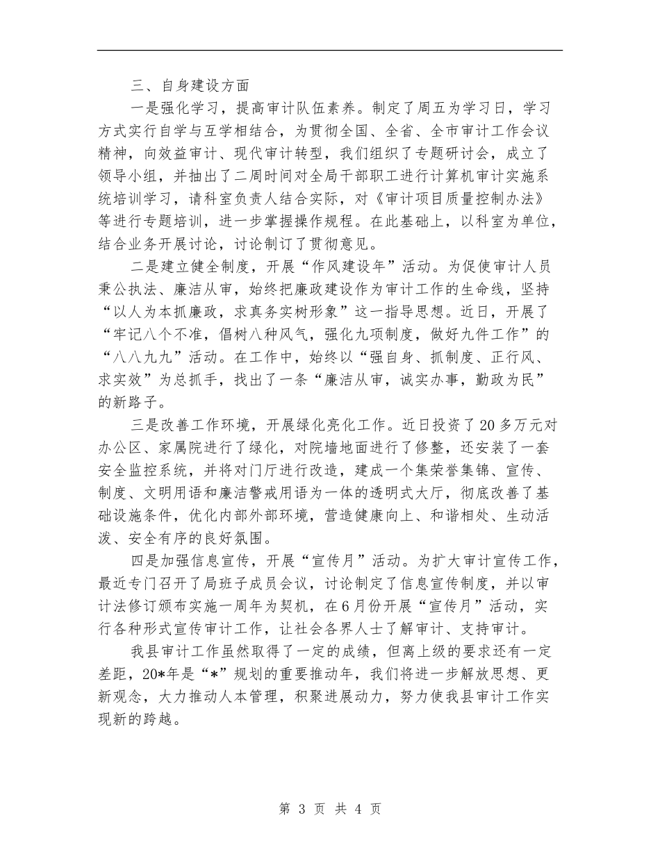 县审计局上半年的工作总结_第3页