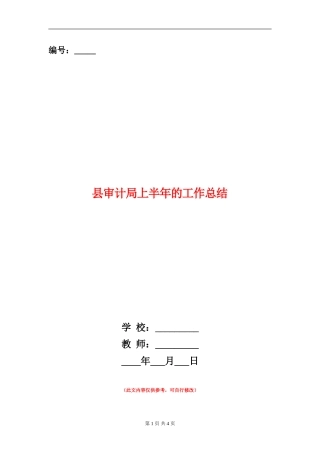 县审计局上半年的工作总结