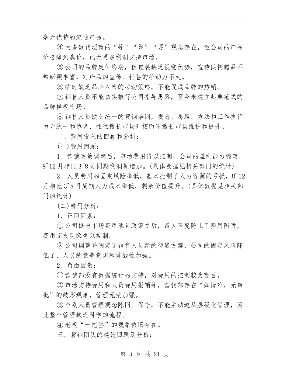 销售总监工作总结(多篇范本)_第3页