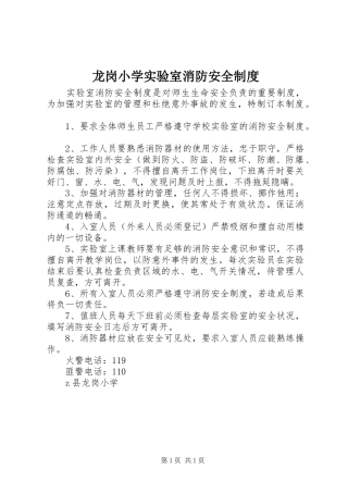 龙岗小学实验室消防安全规章制度