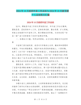 2024年10月政府外宣工作总结与2024年10月新导游个人总结范文汇编