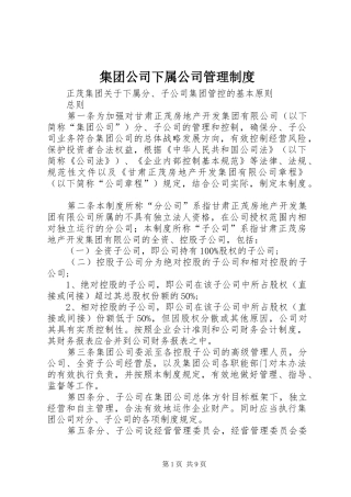 集团公司下属公司管理规章制度