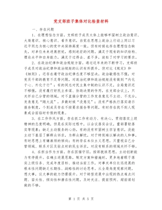 党支部班子集体对照检查材料