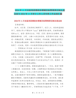2024年11月安监局思想政治领域目标管理责任制自查总结与2024年11月审计工作人员年终工作总结汇编