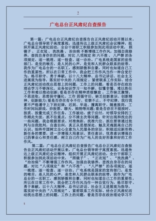 广电总台正风肃纪自查报告