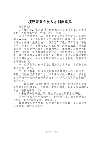 领导联系专技人才规章制度意见