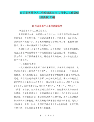 10月业务员个人工作总结范文与10月个人工作总结汇编