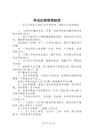 劳动纪律管理规章制度细则 (2)