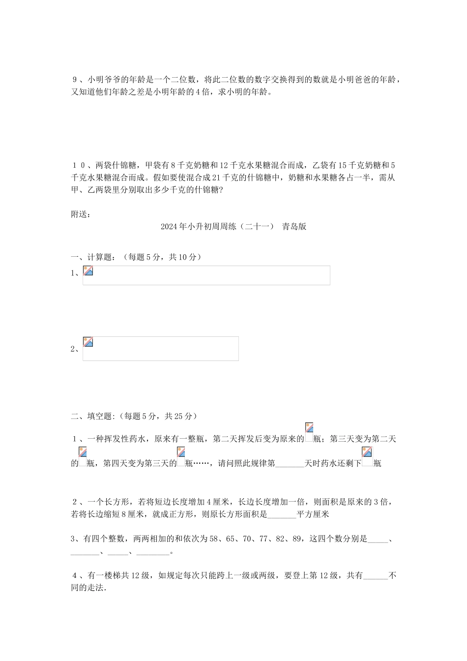 2024年小升初周周练(九)-青岛版_第3页
