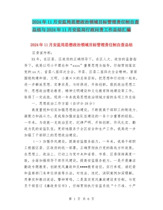 2024年11月安监局思想政治领域目标管理责任制自查总结与2024年11月安监局行政问责工作总结汇编