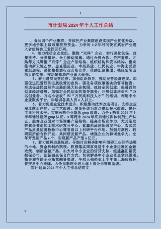 市计划局2024年个人工作总结