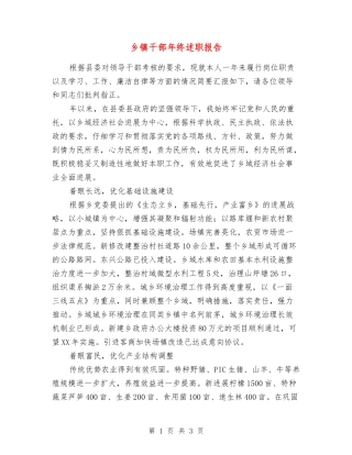 乡镇干部年终述职报告