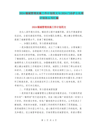 2024镇城管理实施工作计划范文与2024门诊护士长周计划怎么写汇编