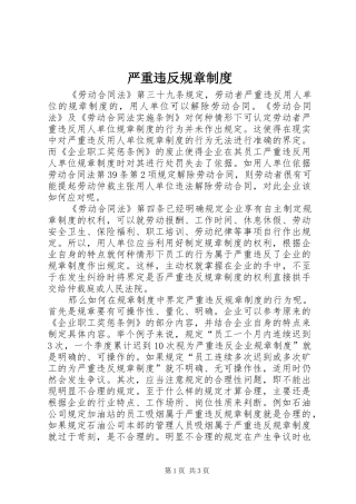 严重违反规章规章制度