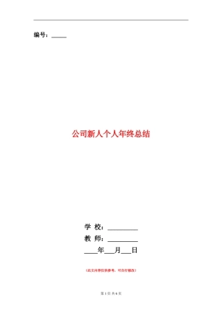 公司新人个人年终总结