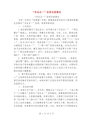 “多证合一”改革自查情况