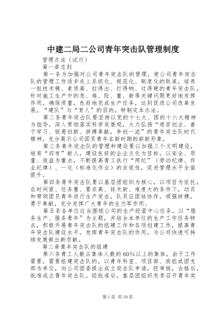 中建二局二公司青年突击队管理规章制度