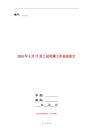 2024年9月IT员工试用期工作总结范文