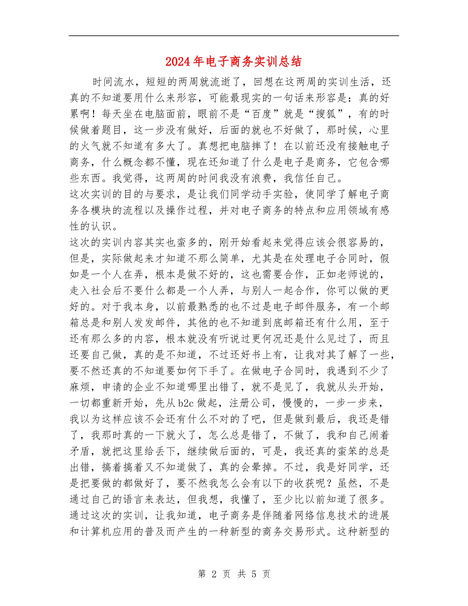2024年电子商务实训总结_第2页