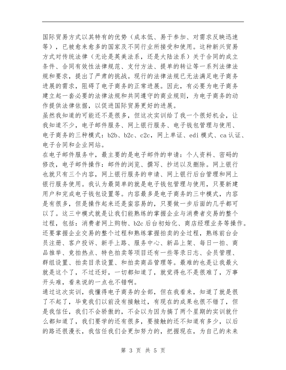 2024年电子商务实训总结_第3页