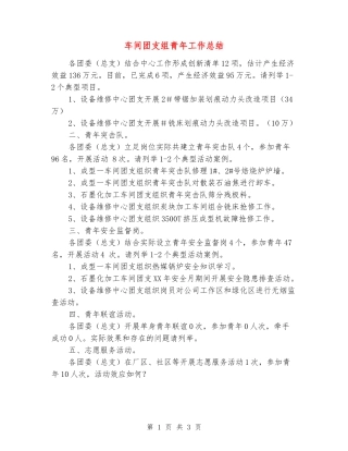 车间团支组青年工作总结