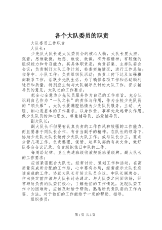 各个大队委员的职责要求
