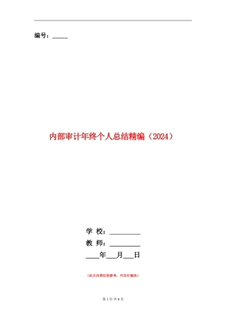 内部审计年终个人总结精编