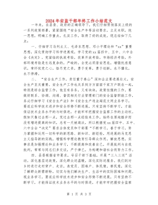 2024年安监干部年终工作小结范文