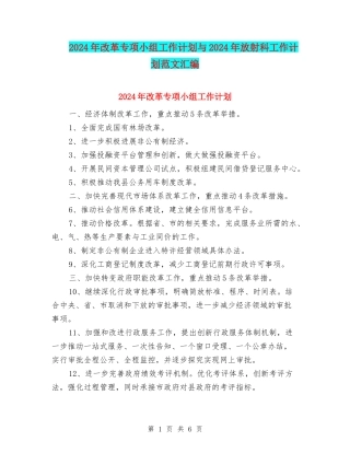 2024年改革专项小组工作计划与2024年放射科工作计划范文汇编