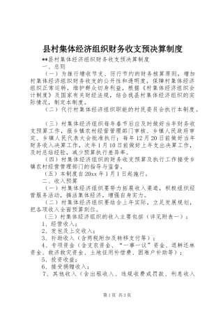 县村集体经济组织财务收支预决算规章制度