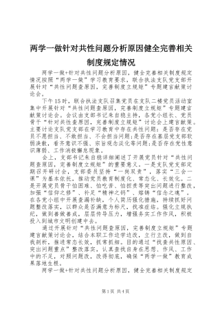 两学一做针对共性问题分析原因健全完善相关规章制度规定情况