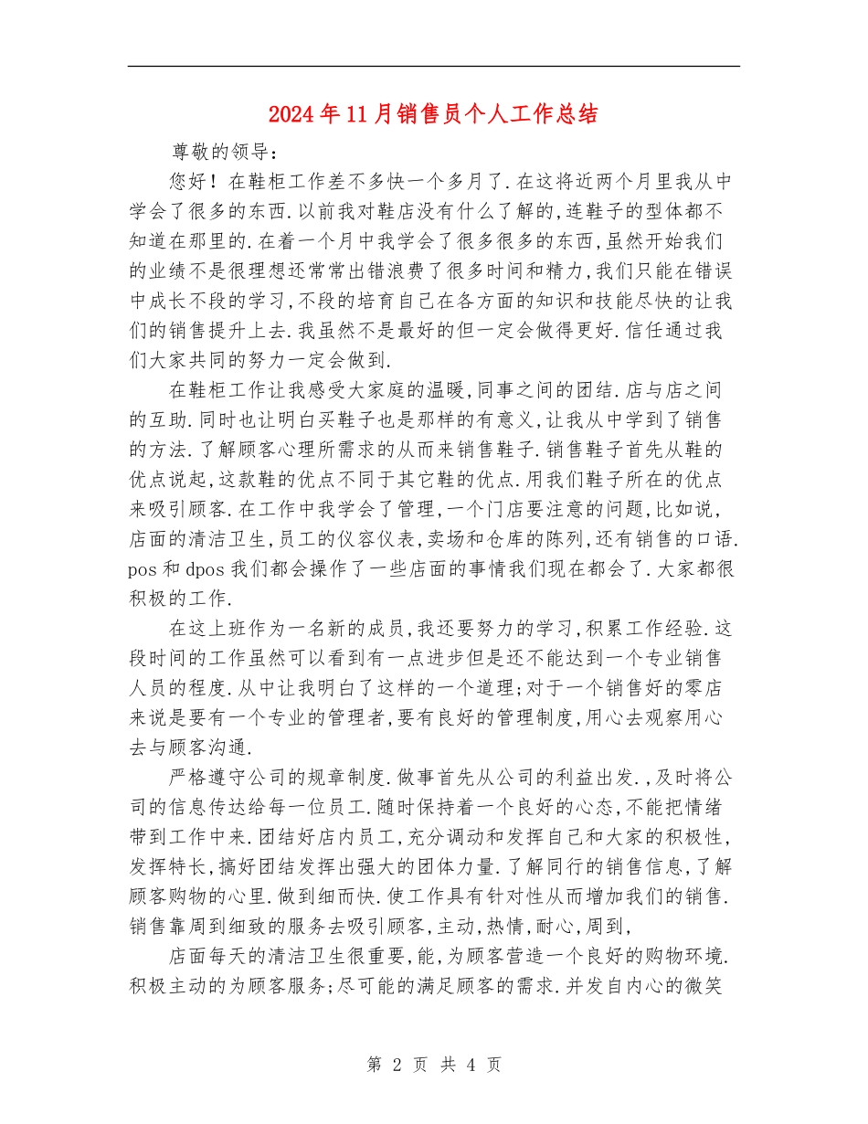 2024年11月销售员个人工作总结_第2页