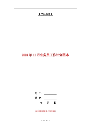 2024年11月业务员工作计划范本