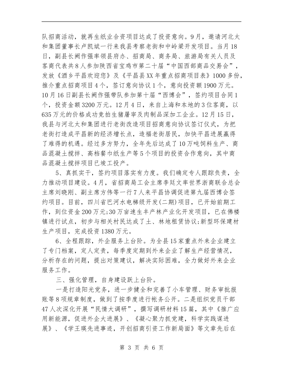 招商引资个人工作总结_第3页