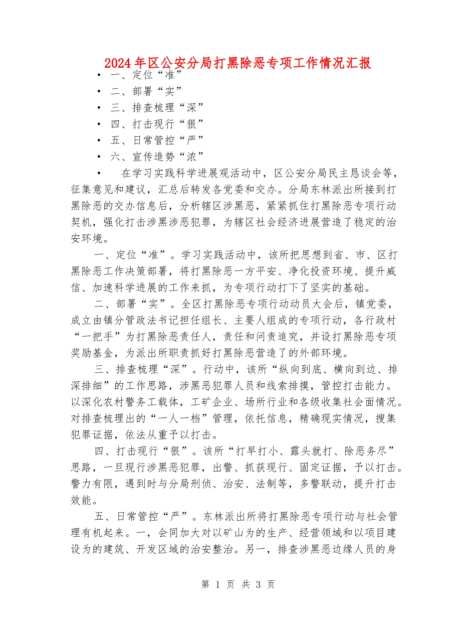 2024年区公安分局打黑除恶专项工作情况汇报_第1页