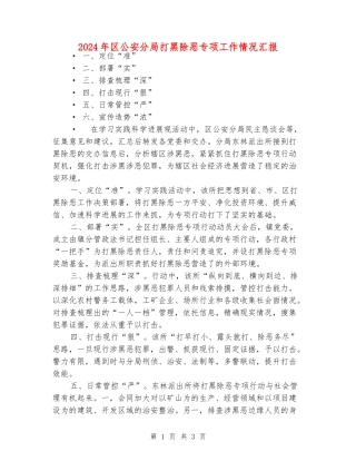 2024年区公安分局打黑除恶专项工作情况汇报