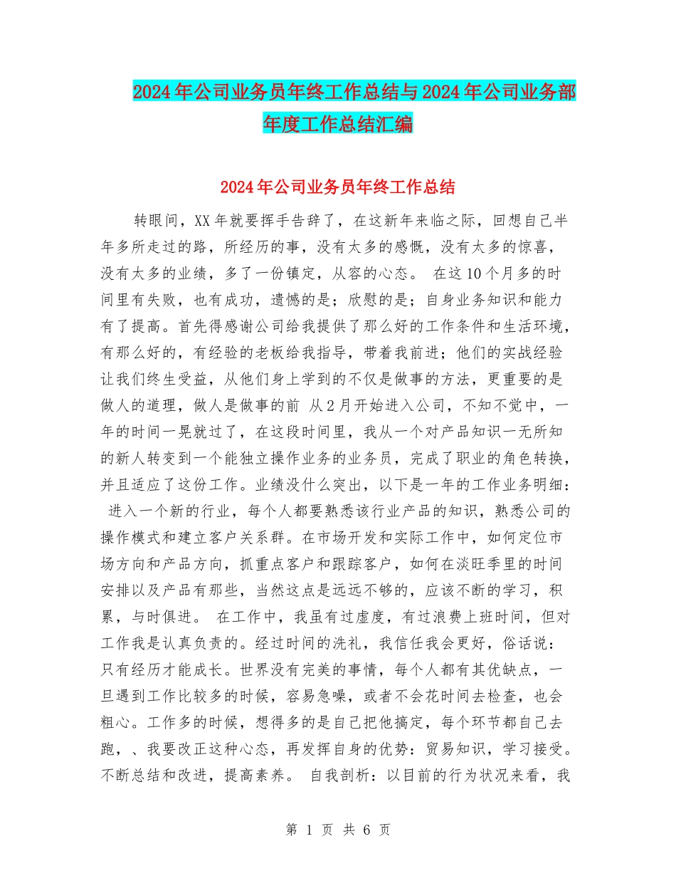 2024年公司业务员年终工作总结与2024年公司业务部年度工作总结汇编_第1页