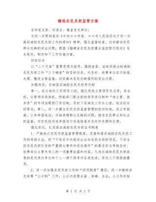 农民负担监管方案