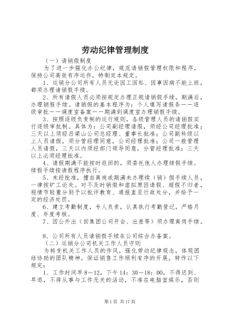 劳动纪律管理规章制度细则
