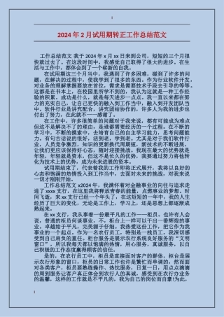 2017年2月试用期转正工作总结范文